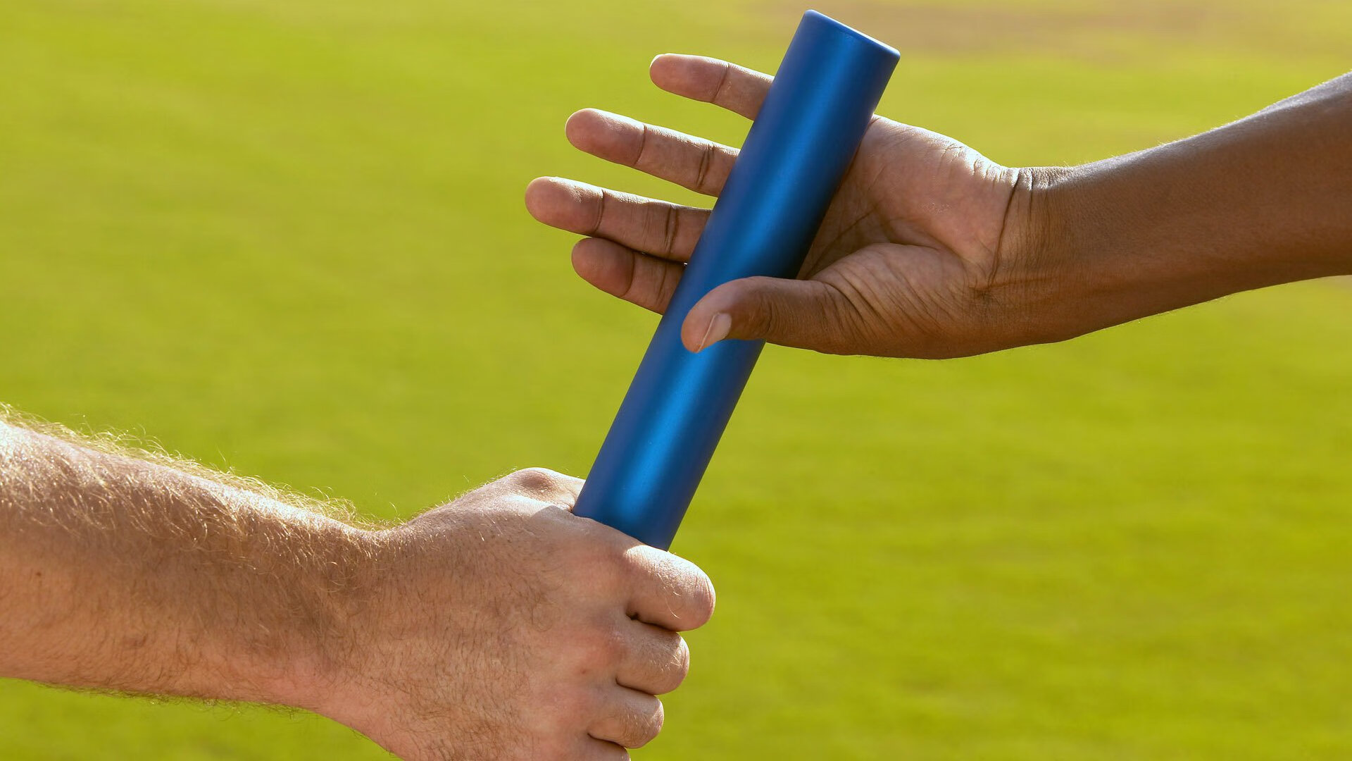 体育文化课成为多所高校通识选修课，体育专业选修课